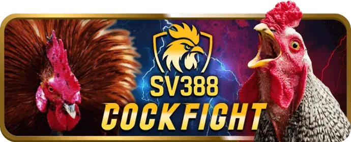 Quản lý tài khoản cá nhân VIP 888slot nhà cái